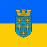 Logo Niederösterreichischer Skibobverband (NÖSBV)