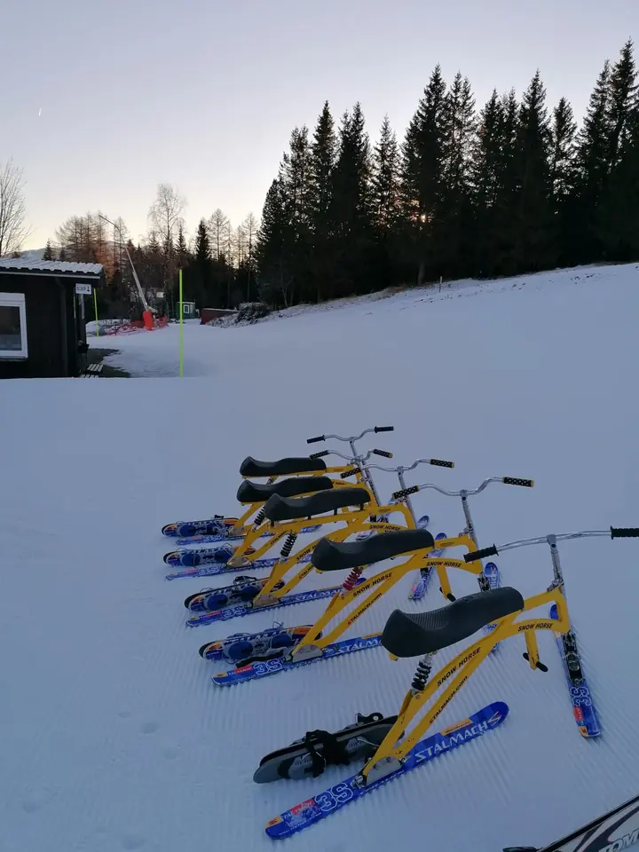 Skibob: Weltcup – Skibob-Schnuppertage VS Judenburg Stadt – Kleinlobming – 05.02.2025 – Foto 01