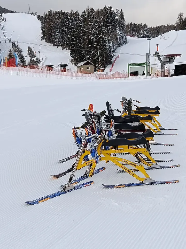 Skibob: Schulsport – Schnuppertage Rieseralm – Rieseralm – 01.02.2026 – Foto 01