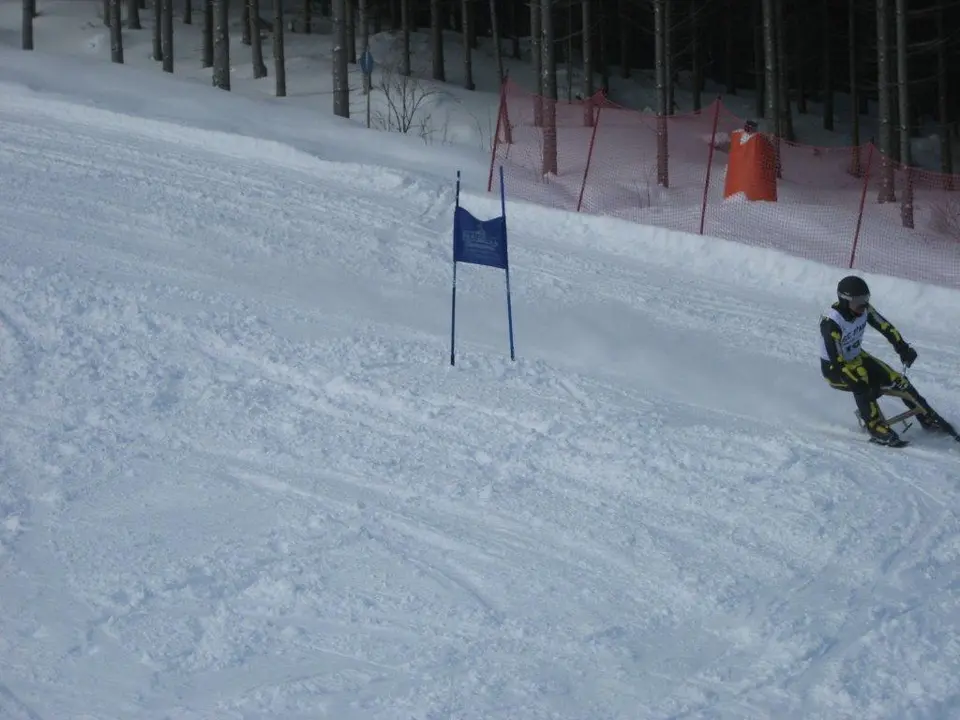 ASKOE BM 2013 (16)
