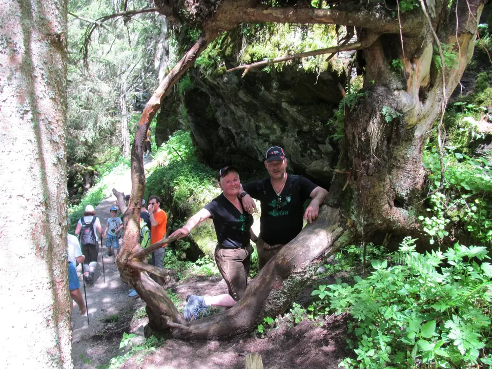 Wandertag 2015 – Foto 20
