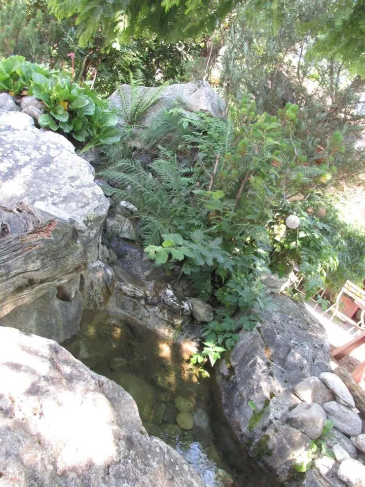 Sommercamp 2015 – Foto 112