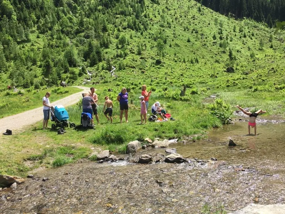 Wandertag 02.06.2018 Rittisberg und 03.06.2018 Steir. Bodensee – Foto 10