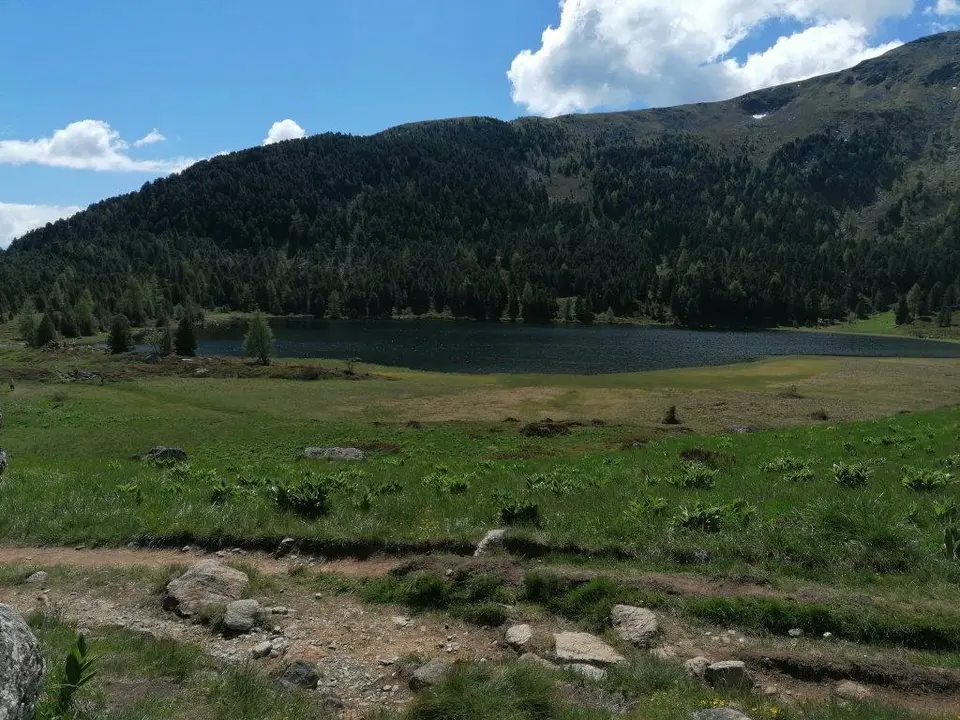 2020-06-13 10.40.07